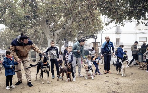 Abans s'havien celebrat canicròs infantils (Foto: X.M.)
